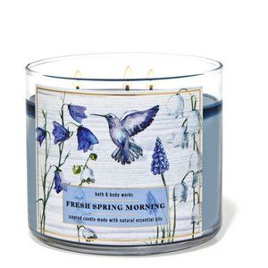 (2) Fresh Spring Morning 3 wick candle